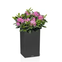 Donica Lechuza CANTO Stone Kolumna 40 LED grafitowy czarny