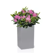 Donica Lechuza CANTO Stone Kolumna 40 LED szary kamienny