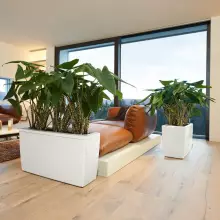 Donica Lechuza CARARO 75/30/43 biały połysk