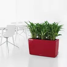 Donica Lechuza CARARO 75/30/43 czerwony scarlet połysk