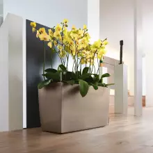 Donica Lechuza CARARO 75/30/43 taupe-szarobrązowy połysk