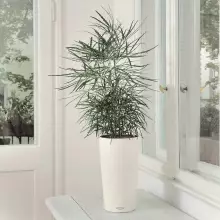 Donica Lechuza CILINDRO Color 23 biały