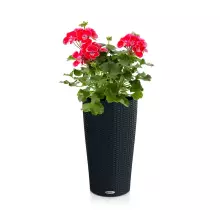 Donica Lechuza CILINDRO Cottage 23 grafitowy czarny