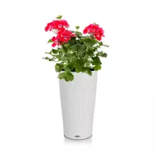 Donica Lechuza CILINDRO Cottage 23 jasny szary