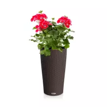 Donica Lechuza CILINDRO Cottage 23 mokka