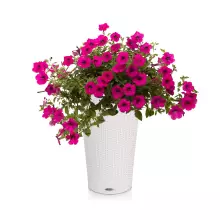 Donica Lechuza CILINDRO Cottage 32 biały