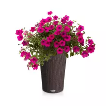 Donica Lechuza CILINDRO Cottage 32 mokka