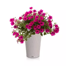 Donica Lechuza CILINDRO Cottage 32 piaskowy brąz