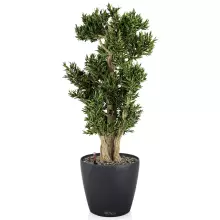 Donica Lechuza CLASSICO Color 43/40 ciemny szary