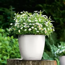 Doniczka Lechuza CLASSICO Color 18/17 biały