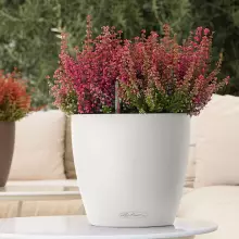 Doniczka Lechuza CLASSICO Color 21/20 biały