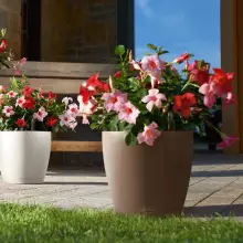 Doniczka Lechuza CLASSICO Color 28/26 muszkatołowy brąz