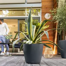 Donica Lechuza CLASSICO Color 43/40 szary łupek