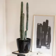 Doniczka Lechuza CLASSICO LS 35/33 czarny połysk