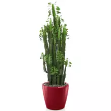 Doniczka Lechuza CLASSICO LS 35/33 czerwony scarlet połysk