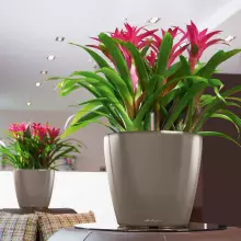 Doniczka Lechuza CLASSICO LS 35/33 taupe-szarobrązowy połysk