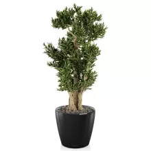 Donica Lechuza CLASSICO LS 43/40 czarny połysk