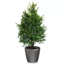 Donica Lechuza CLASSICO LS 50/47 antracyt metalik