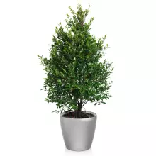 Donica Lechuza CLASSICO LS 50/47 srebrny metalik