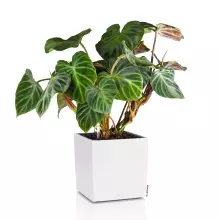 Donica Lechuza CUBE Color 30 biały