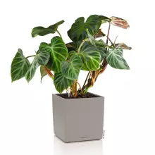 Donica Lechuza CUBE Color 30 piaskowy brąz