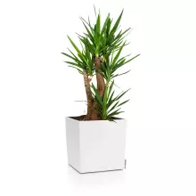 Donica Lechuza CUBE Color 40 biały