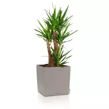 Donica Lechuza CUBE Color 40 piaskowy brąz