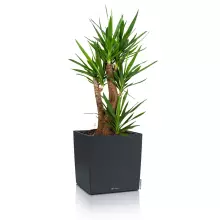 Donica Lechuza CUBE Color 40 szary łupek