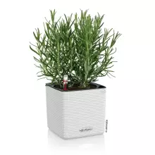 Doniczka Lechuza CUBE Color 16 biały