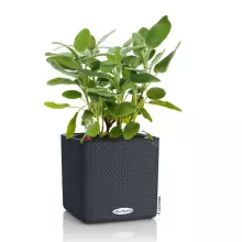 Doniczka Lechuza CUBE Color 16 szary łupek