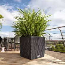 Doniczka Lechuza CUBE Cottage 30/30/30 grafitowy czarny