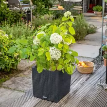 Doniczka Lechuza CUBE Cottage 30/30/30 granit