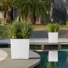 Donica Lechuza CUBE Cottage 40/40/40 biały