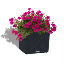 Donica Lechuza CUBE Cottage 40/40/40 grafitowy czarny