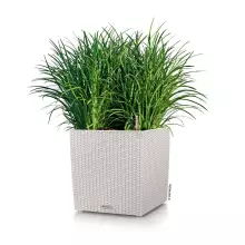 Donica Lechuza CUBE Cottage 40/40/40 jasny szary