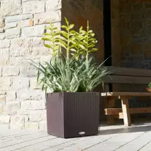 Donica Lechuza CUBE Cottage 40/40/40 mokka