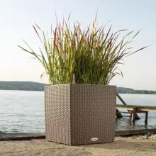 Donica Lechuza CUBE Cottage 40/40/40 piaskowy brąz