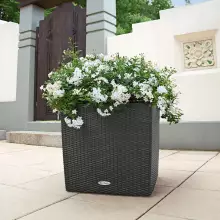 Donica Lechuza CUBE Cottage 50/50/50 grafitowy czarny