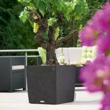 Donica Lechuza CUBE Cottage 50/50/50 granit