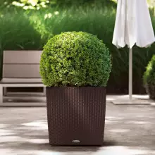 Donica Lechuza CUBE Cottage 50/50/50 mokka