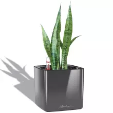 Doniczka Lechuza CUBE Glossy 14 antracyt połysk