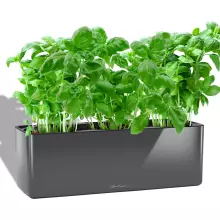 Doniczka Lechuza CUBE Glossy Triple antracyt połysk