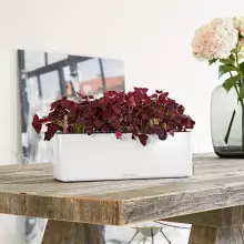 Doniczka Lechuza CUBE Glossy Triple biały połysk