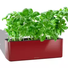 Doniczka Lechuza CUBE Glossy Triple czerwony scarlet połysk