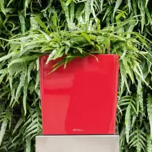 Donica Lechuza CUBE Premium 30 czerwony scarlet połysk