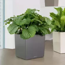 Donica Lechuza CUBE Premium 40 antracyt metalik