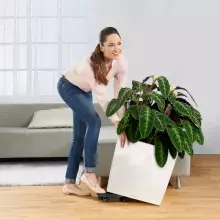 Donica Lechuza CUBE Premium 50 biały połysk