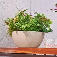 Donica Lechuza CUBETO Stone 30 piaskowy beż