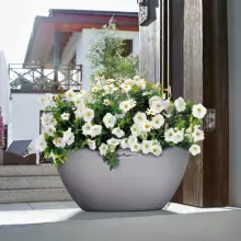 Donica Lechuza CUBETO Stone 40 szary kamień