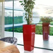 Donica Lechuza CUBICO Alto 40/40/105 czerwony scarlet połysk